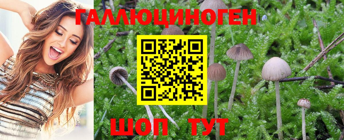 Нижний Новгород  Галлюциногенные грибы MAGIC MUSHROOMS  Вход с VPN 